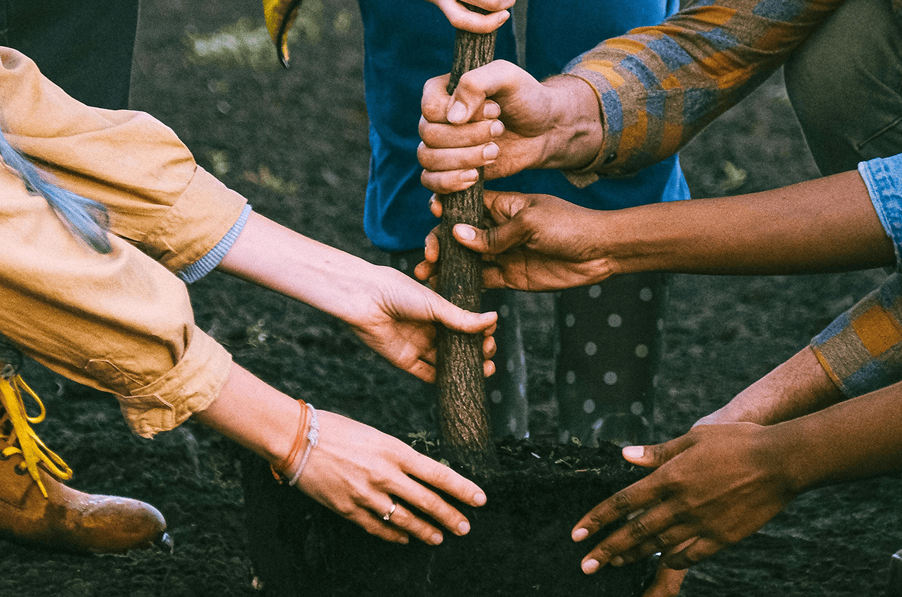Comunicación para el desarrollo
